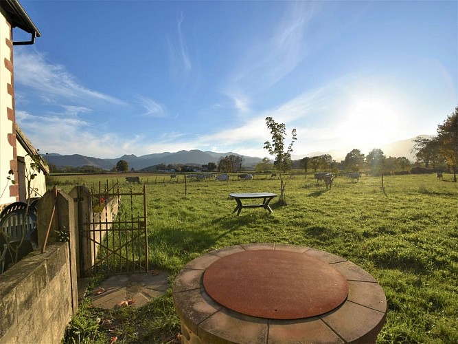 Teillagorry - jardin - St Jean Le Vieux