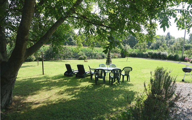 Ibarra-Jardin-3
