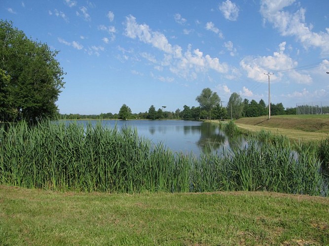 Lac des Vergnes Laruscade