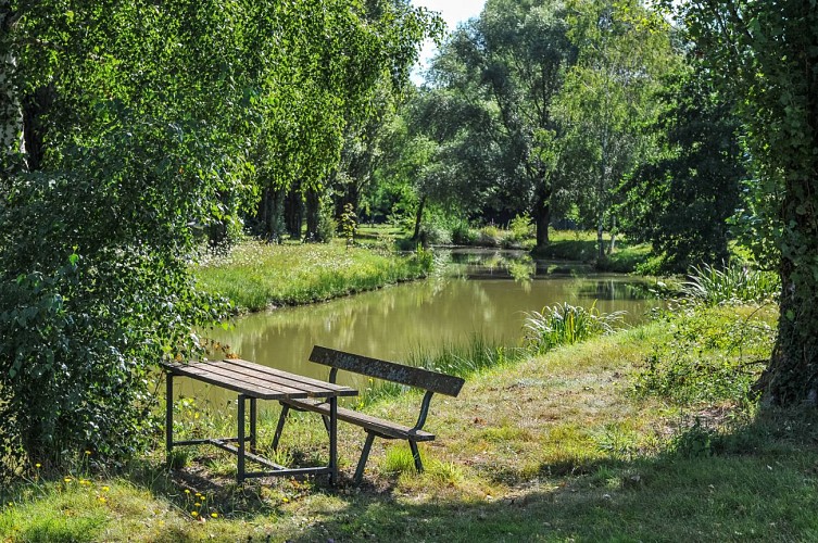 aire-de-pique-nique-ardon-etang-route-d-olivet-table-et-chaise