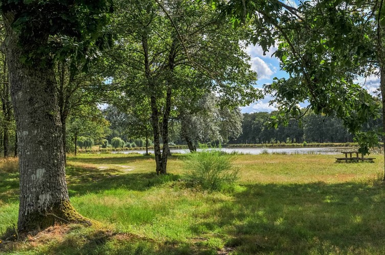 aire-de-pique-nique-sennely-etang-de-villechaume-table-2