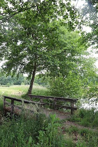 aire-de-pique-nique-menestreau-en-villette-etang-du-cougnou