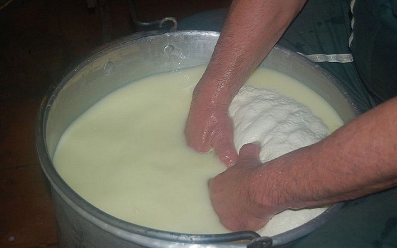 COURTIE STEPH 1440BERGER COURTIEDSC_0457[1]