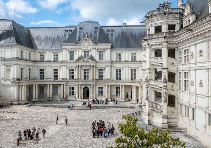 Billet coupe-file Château Royal de Blois