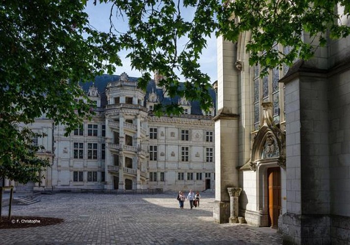 Billet coupe-file Château Royal de Blois