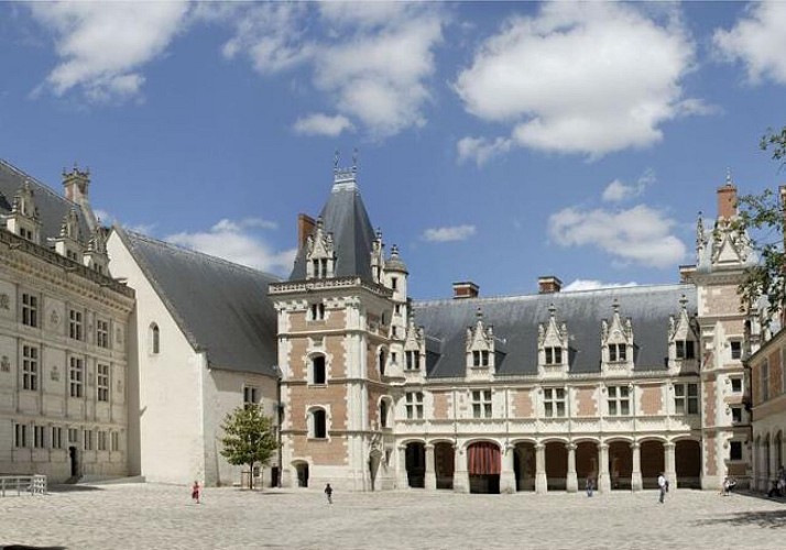 Billet coupe-file Château Royal de Blois