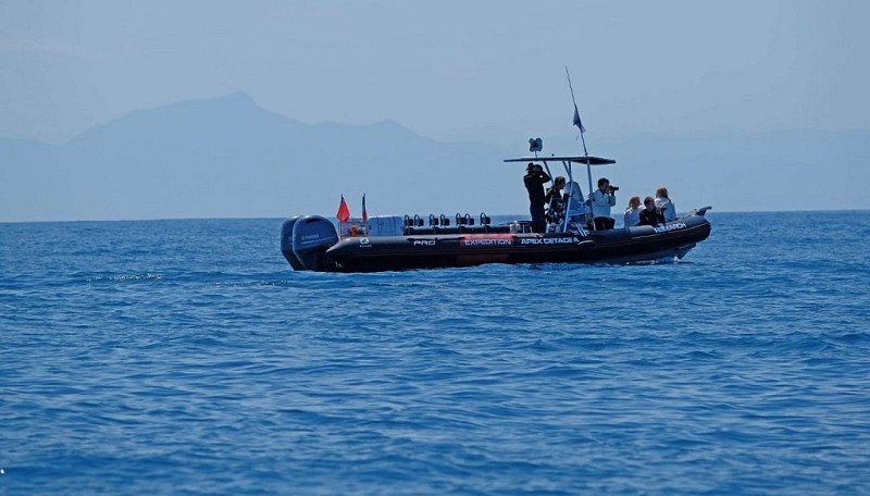 Apex Cetasea - OTI LAS