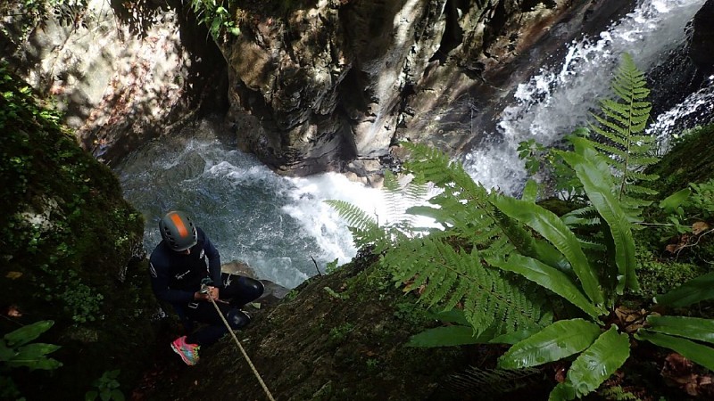 Eau-Sud-canyoning - Soule luxuriante