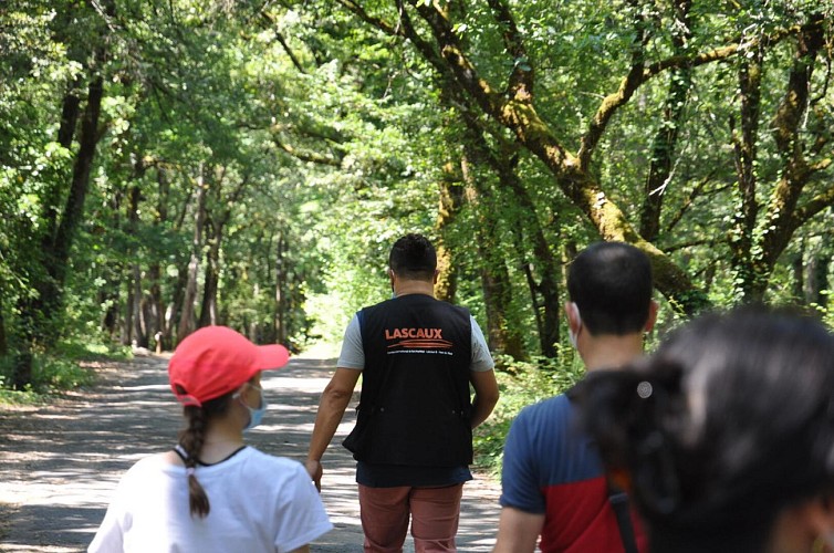 Lascaux II DSC_0159 1