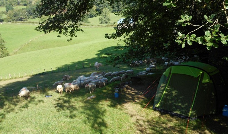 camping-sobieta-ferme