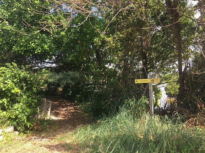 LE MOULE / BOIS BARON