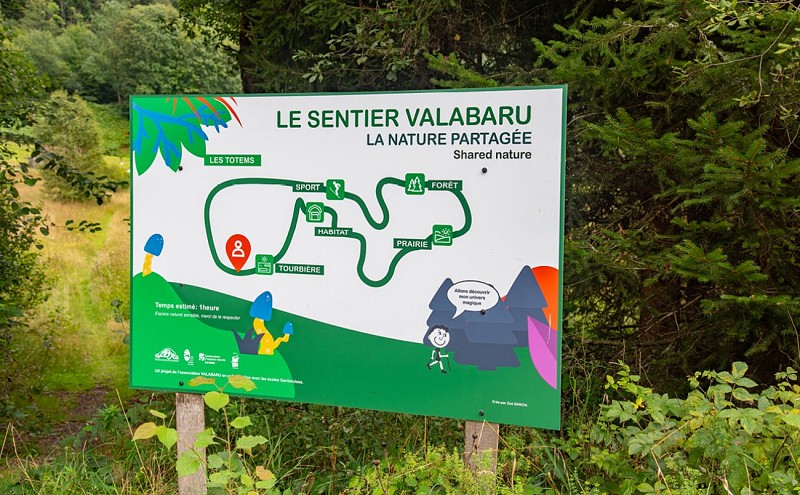 La tourbière du grand étang - veen