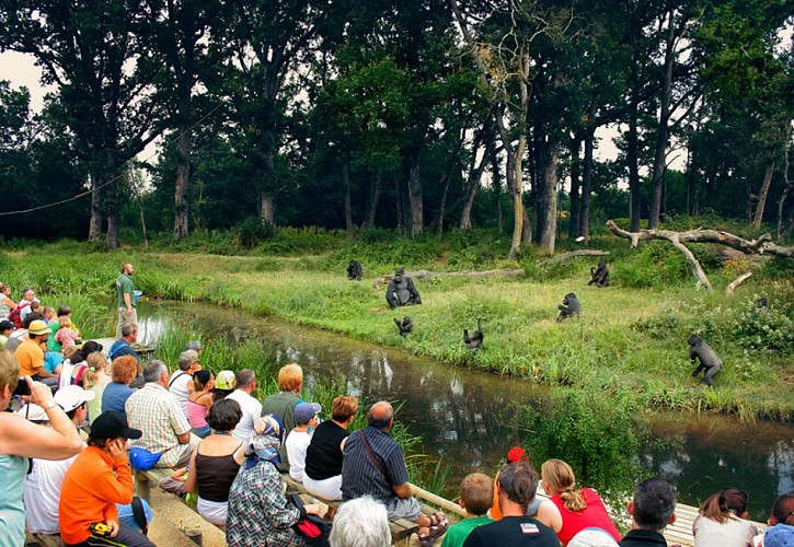 La Vallée des Singes