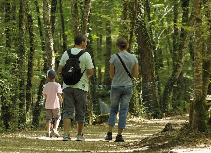 LOI_dinoparc 2_St Léon_fév 2023 (2)