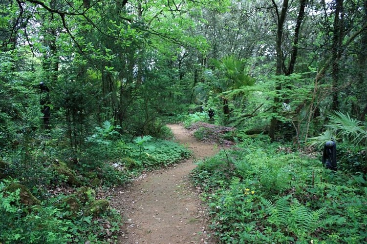 lesjardinsdecadiot jardinsauvage haut REDIM