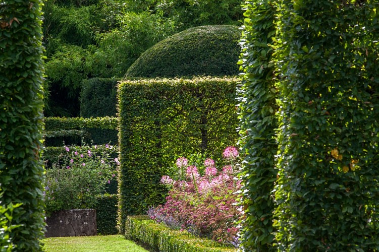 charmille jardinieres pheretaxus 7