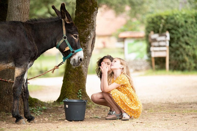 photo 6 âne (2)©Villatent 4