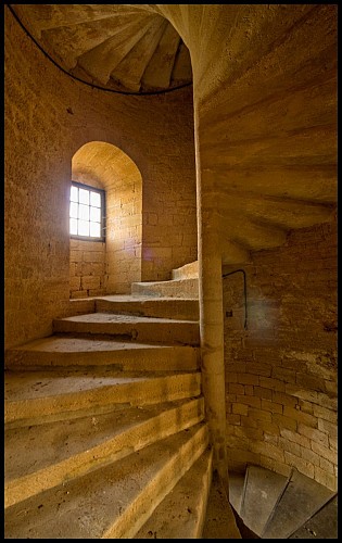 Chateau_de_Salignac (3)