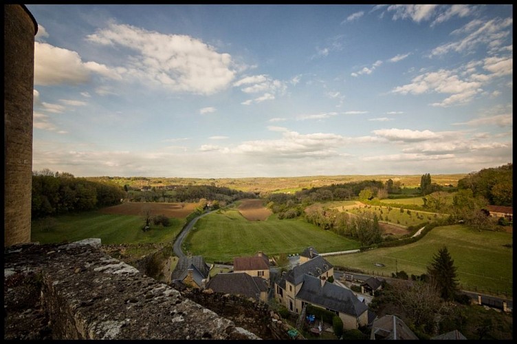 Chateau_de_Salignac (13)