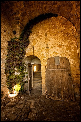 Chateau_de_Salignac (15)