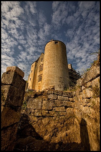 Chateau_de_Salignac (3)