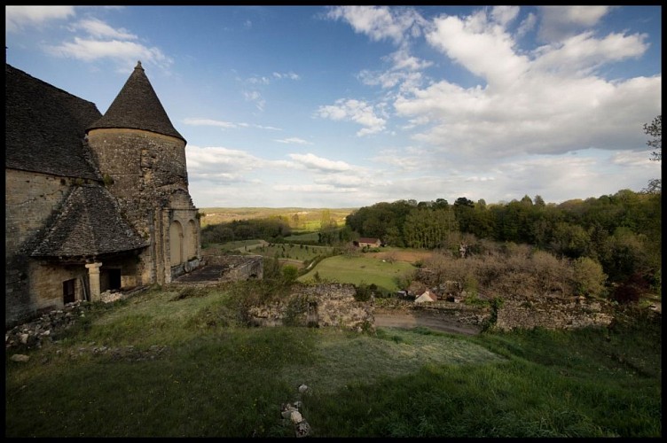 Chateau_de_Salignac (7)