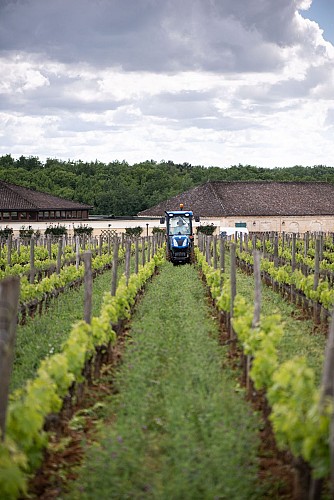 Château d'Aiguilhe_Work in progress_©bricebraastad