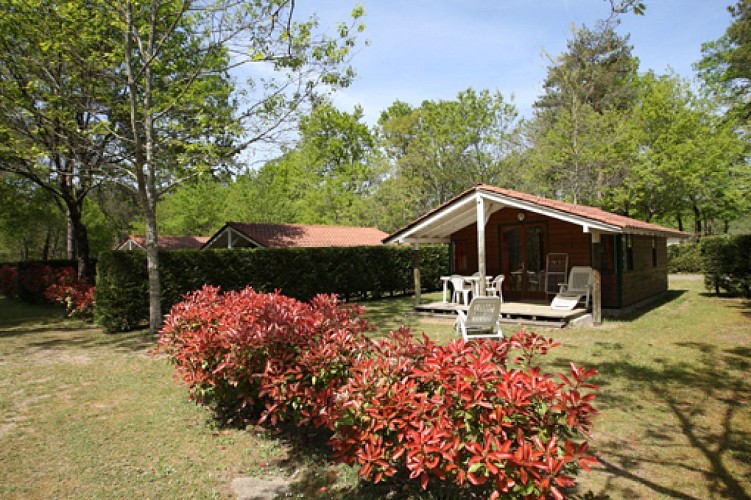 Camping L'Etang d'Ardy