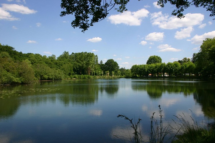 Camping L'Etang d'Ardy