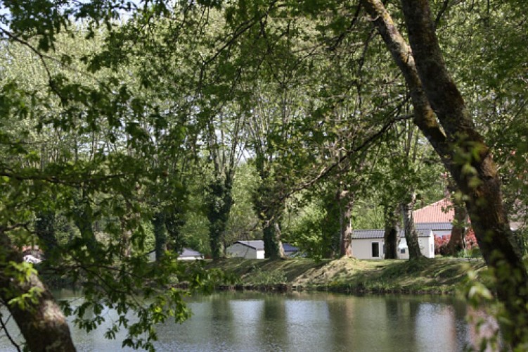 Camping Etang d'Ardy 2010 - 3