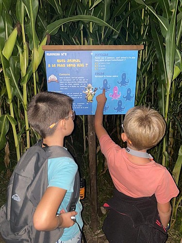 STJU_Labyrinthe de Lanès (4)