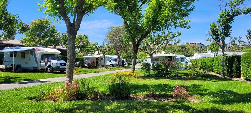 PETITES FLEURS DU PRINTEMPS UR ONEA 290524