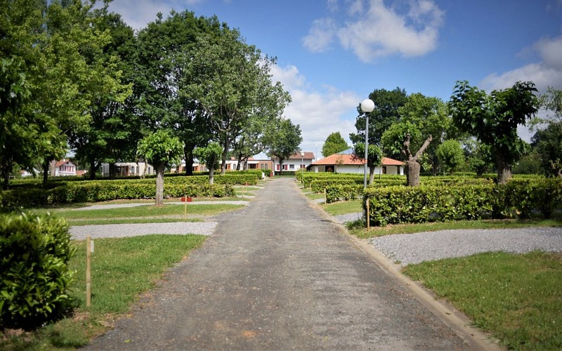 Vue ensemble du bas du camping v2