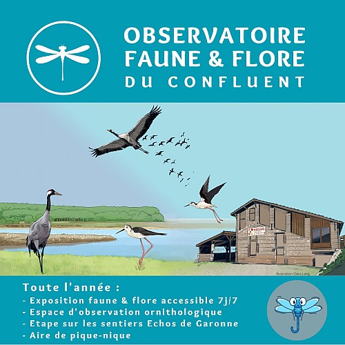 Observatoire Faune et Flore du Confluent