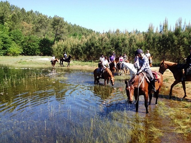 2019--Marina-equestre-4--Copier-