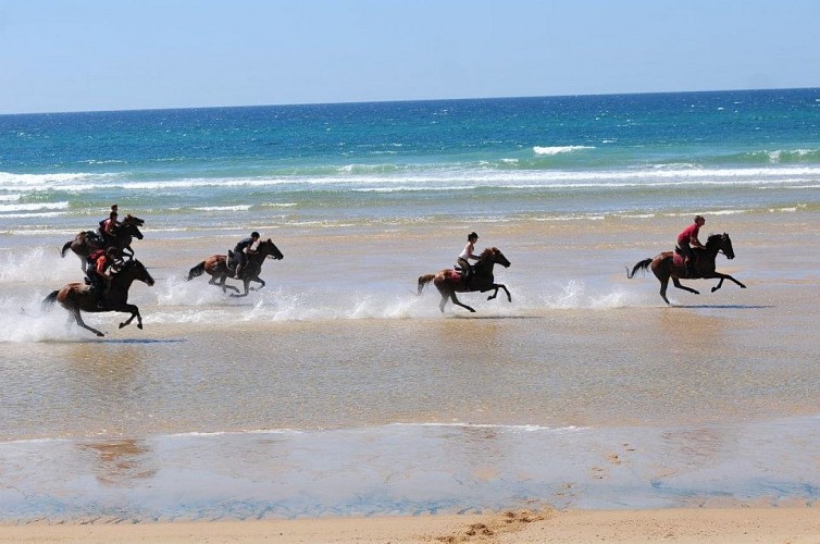 Centre equestre Marina 2015frenesie