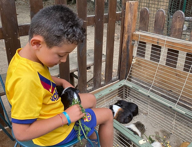 La Pêcherie d'Aurit5