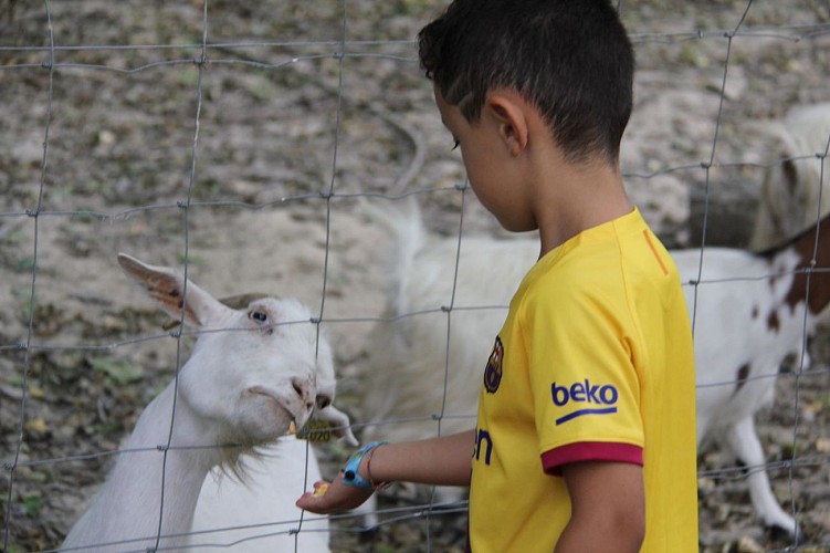 La Pêcherie d'Aurit7