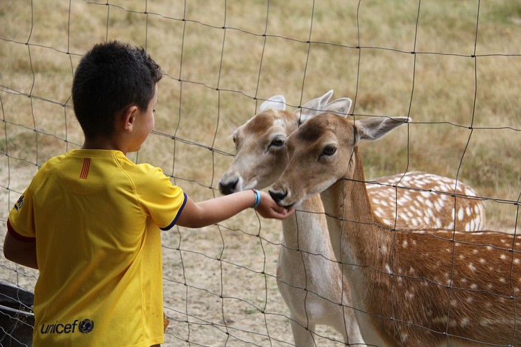 La Pêcherie d'Aurit1