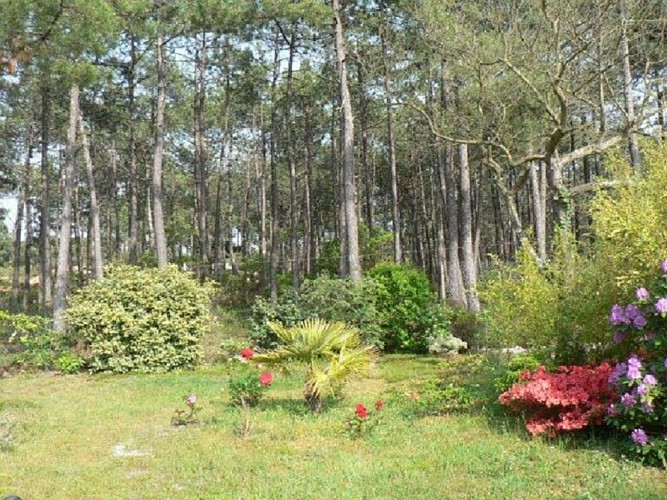 CHAMBRE D'HOTES DUNAND SAUTHIER LACANAU (4)