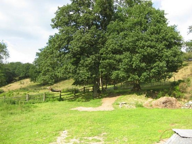 Camping du Moulin de Fumailles