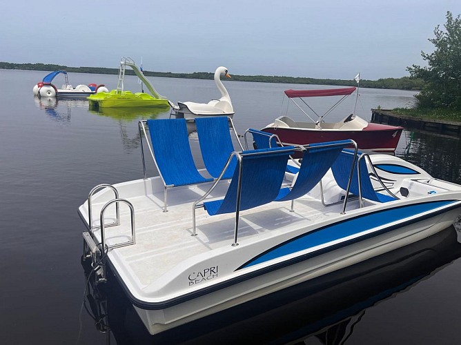 LEON_Chez Gisou_Cygne