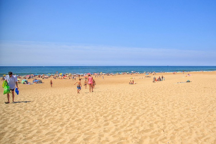 1 x 5574 bibliothèque des plages 03/08/16