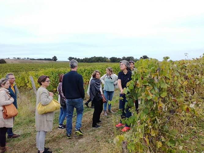2021-HONT-Domaine de Laubesse - Visite groupe-©OT Landes d'Armagnac -DDéjean (2)