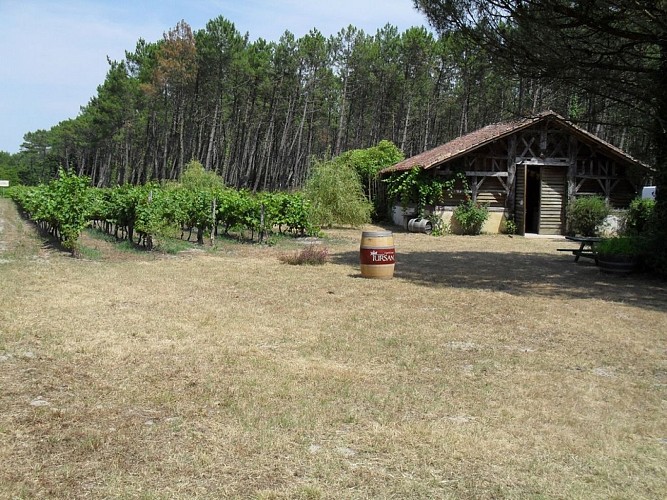 Bergerie des Vignerons de Tursan