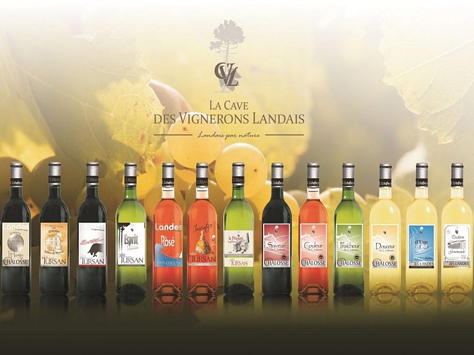 Bergerie des Vignerons du Tursan_Messanges_OTI LAS