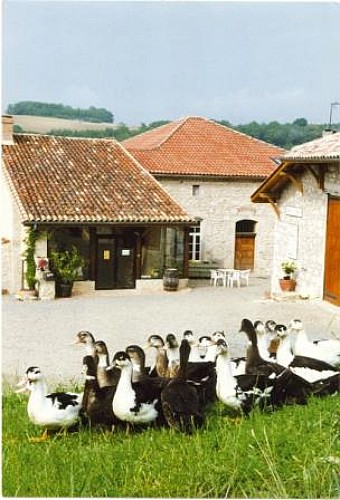 La Ferme de Ramon