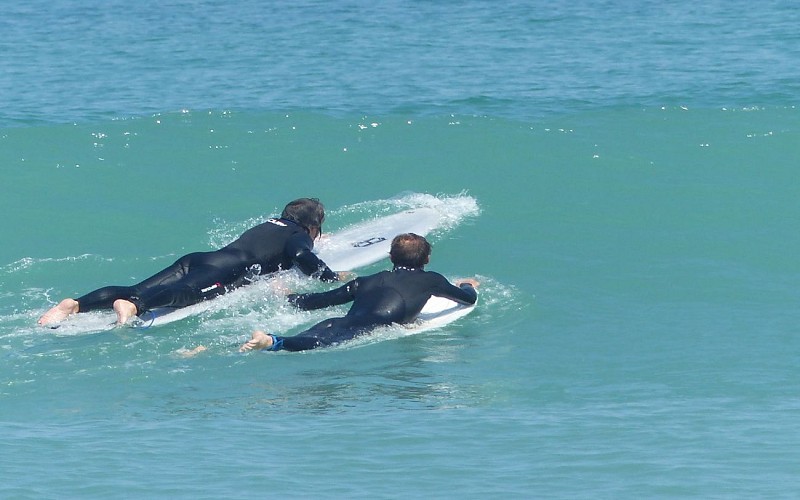 session surf 1440x900