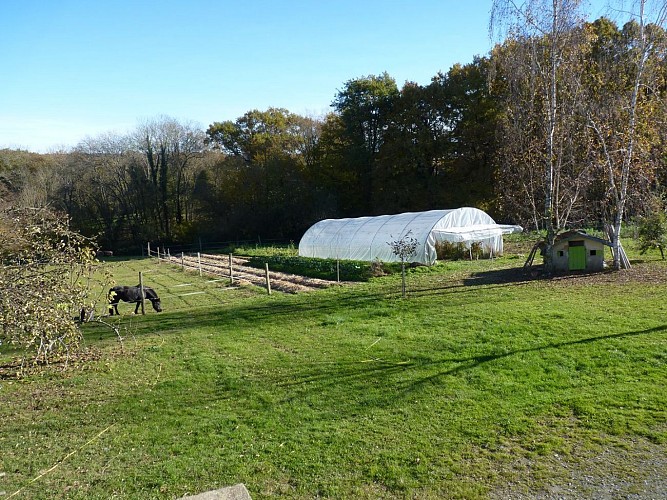 Crouseilles Maraîchage du Bergons crédit SMT (3)
