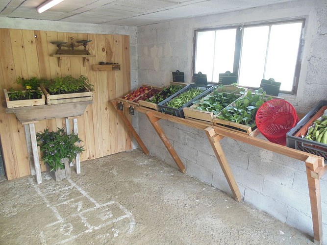 Crouseilles Maraîchage du Bergons crédit SMT (1)